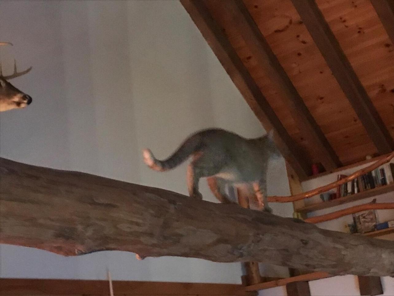 Roscoe Retreatヴィラ エクステリア 写真