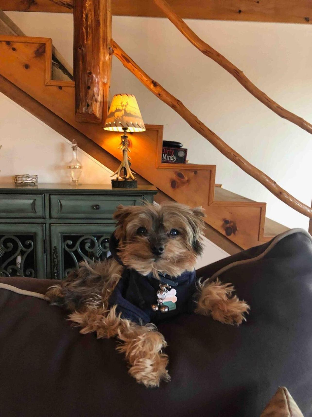 Roscoe Retreatヴィラ エクステリア 写真