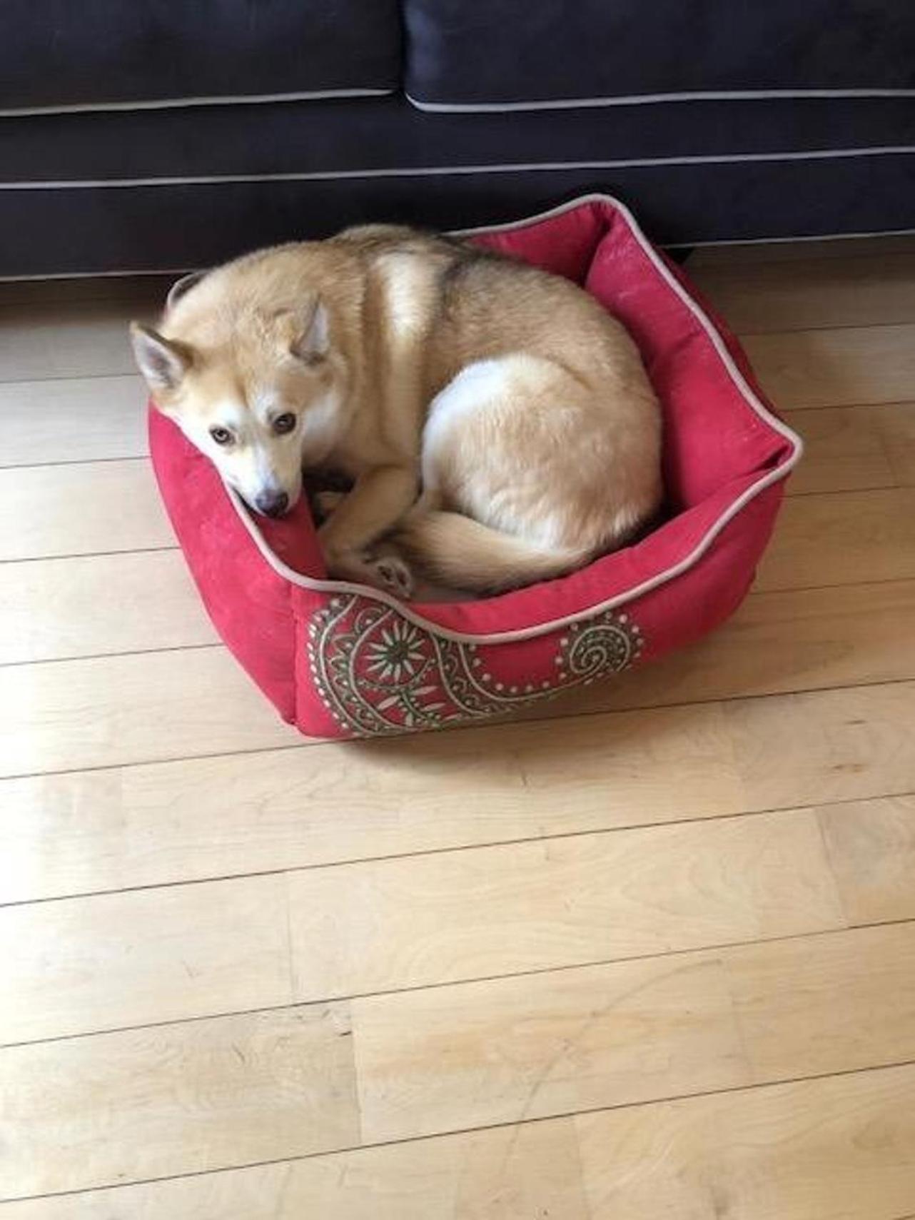 Roscoe Retreatヴィラ エクステリア 写真